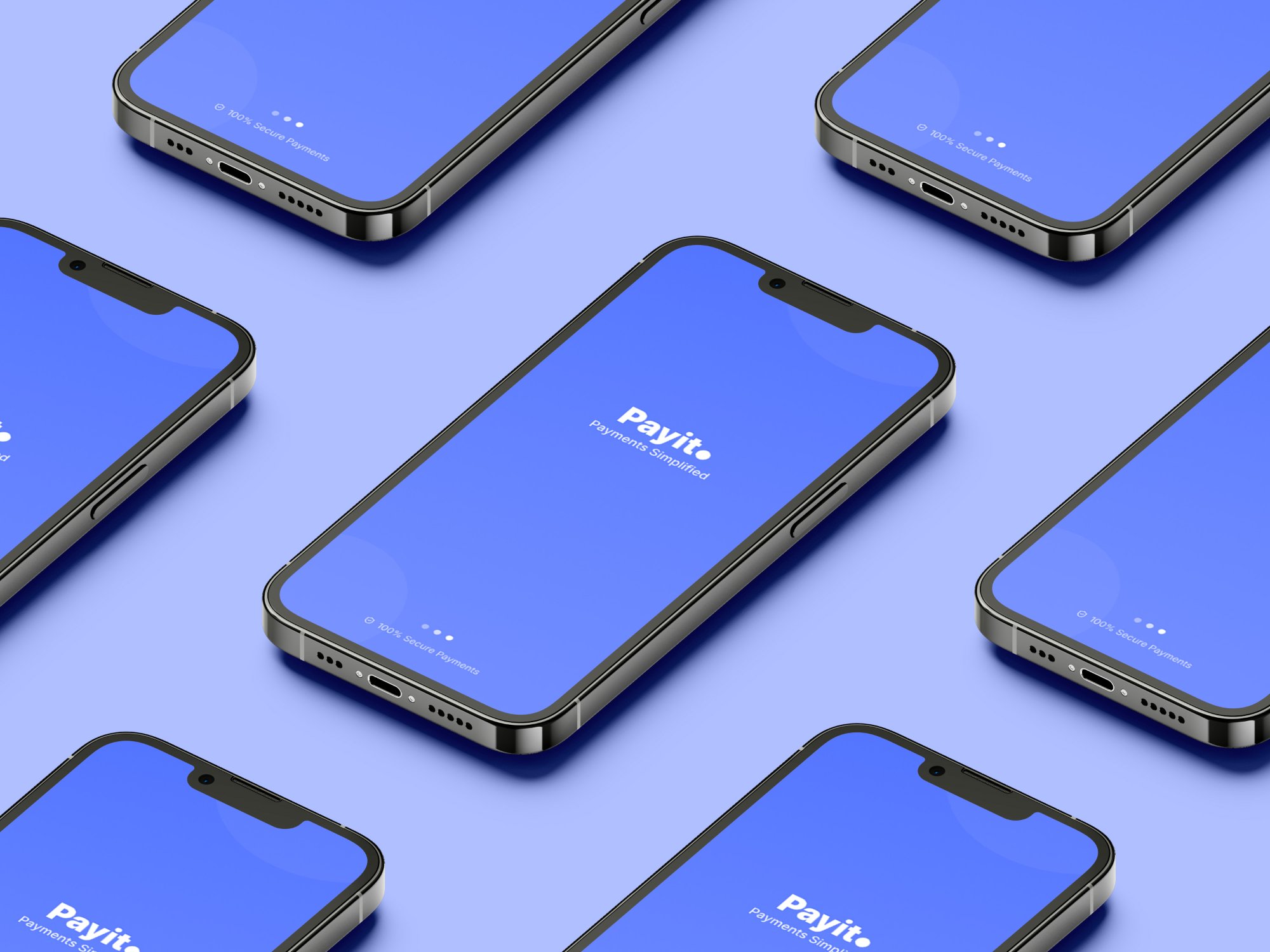 Payit Payment App screen 2